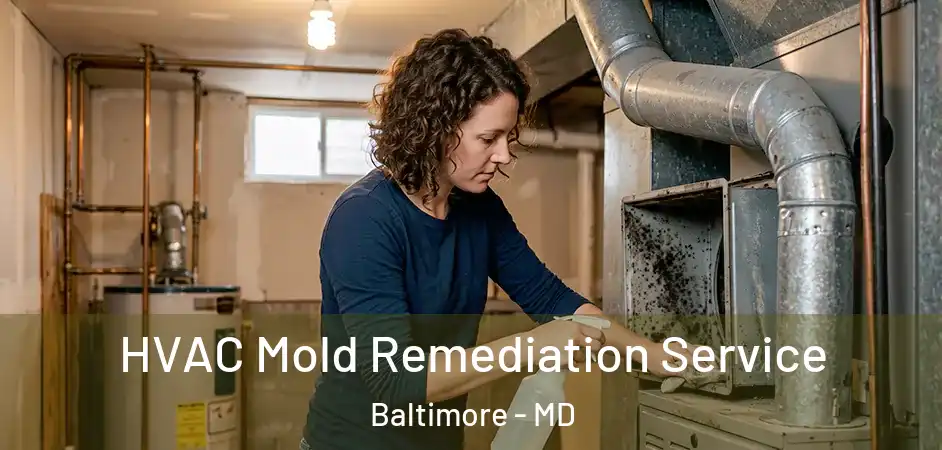 HVAC Mold Remediation Service Baltimore - MD