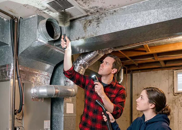 Premier HVAC Mold Remediation Company in Baltimore